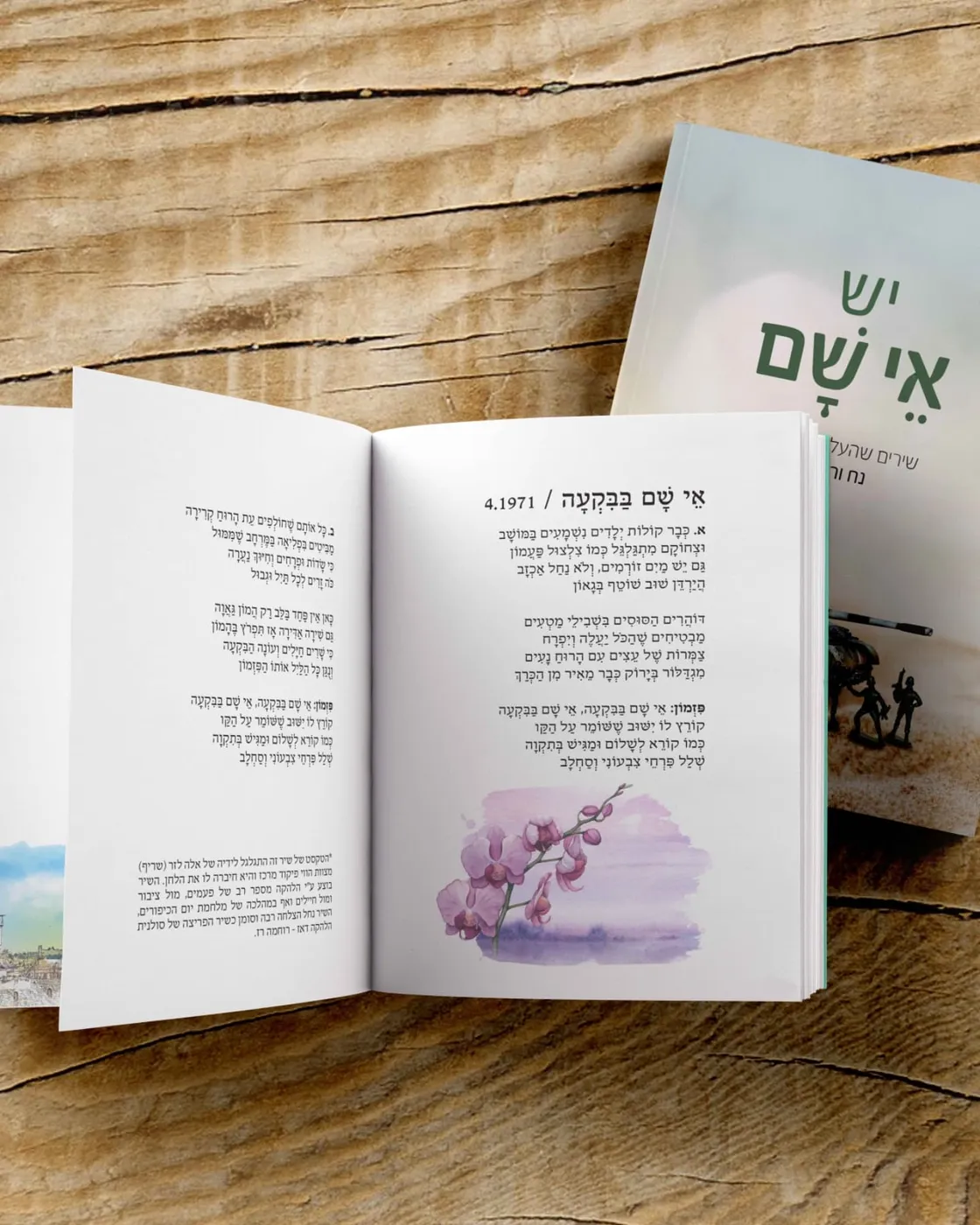 פרק נוסף מהספר — עימוד עדין